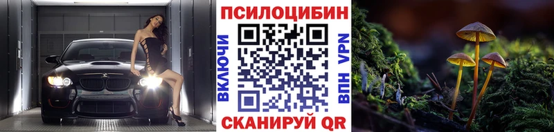 Галлюциногенные грибы MAGIC MUSHROOMS  площадка какой сайт  Звенигово 
